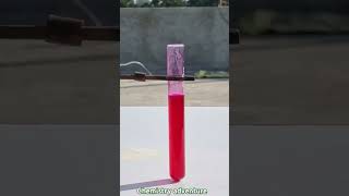 Science experiments Acid base indicator chemistry science viralvideo physics trending [upl. by Lacsap]