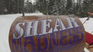 US National Toboggan Championship 2015 [upl. by Gnehp90]