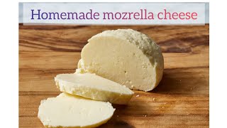 Homemade mozrella cheese easy and simple recipehomemadefood mozerella cheeselover food cooking [upl. by Jeremiah]