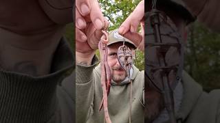 Earthworm fishing carpfishing carp methodfeeder carprigs [upl. by Yawnoc343]