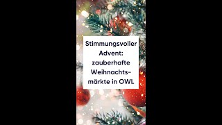 Stimmungsvoller Advent zauberhafte Weihnachtsmärkte in OWL [upl. by Leal]