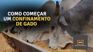 Como começar um confinamento de gado do zero [upl. by Airemaj]