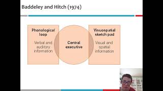 4 Working Memory Model Baddeley amp Hitch 1974 [upl. by Ewens]