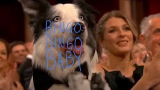 Bingo Bingo Baby [upl. by Rausch203]