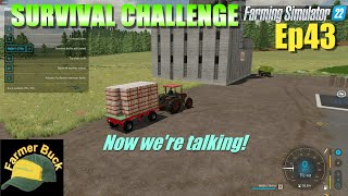 Finally an ok autoloader  Survival challenge  Hinterland  FS22  ep43 [upl. by Streeter]