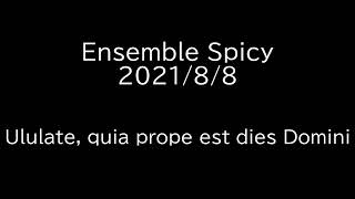 Ululate quia prope est dies Domini Ensemble Spicy [upl. by Tyree438]