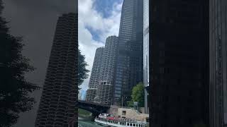 Chicago in the river [upl. by Enniotna]