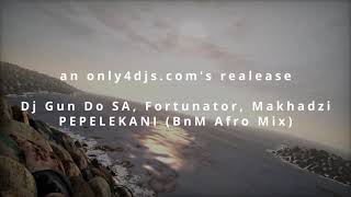 Dj Gun Do SA Fortunator Makhadzi  PEPELEKANI BnM Afro Remix [upl. by Elletnahc631]