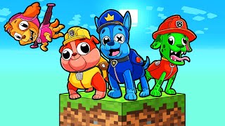 ¡PAW PATROL EN SKYBLOCK [upl. by Nodnil]