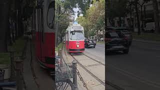 Vienna  The City of Aesthetics vienna austria travel travelvlog travelblogger [upl. by Cooperman910]