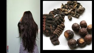 best shampoo for hair  reetha amla shikakai hair growth [upl. by Lorrad]