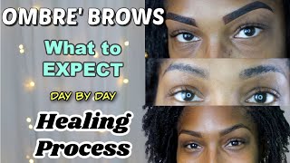 Ombre Powder Brows on DARK SKIN  What to Expect  Healing Process  No Talking  Day by Day [upl. by Armstrong689]