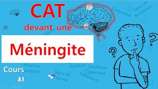 Méningite🙄 cest quoi la CAT 🤔  Cours  Infectiologie [upl. by Switzer]