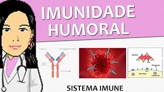 Imunologia 14  Mecanismos da Imunidade Humoral  Anticorpos e seus receptores vídeoaula [upl. by Iva301]