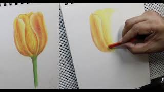 Como dibujar una Flor con Tizas Pastel l Paso a Paso para Principiantes [upl. by Iila]