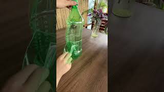 Recycle bottle plastic growing flowers so beautiful flower garden home diy [upl. by Ocsic]