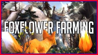 Best Foxflower Farming Tricks and Routes WoW Gold Guide [upl. by Yeoz]