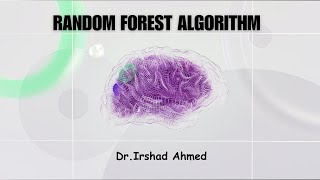 Random Forest Algorithm [upl. by Nitsua]