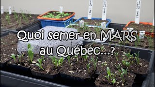 On sème quoi en MARS au Québec [upl. by Ddal]