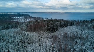 Getting lost in the Swedish forest [upl. by Khalid810]