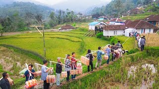 Edyan‼️Beginilah Kalau Sultan Kampung Nikah Jajap Pengantin 1000 Orang Emas 50 Gram Domba Lemari [upl. by Meyers]