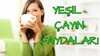 YEŞİL ÇAYIN FAYDALARI [upl. by Elleinad]