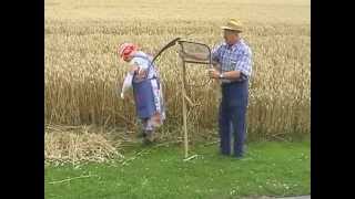 Teil 13 Getreide  Von der Saat bis zum Brot [upl. by Zitella]