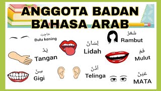 ANGGOTA BADAN  BAHASA ARAB  TADIKA  TASKA [upl. by Slyke884]