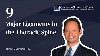 9 Major Ligaments in the Thoracic Spine with Dr John Schultz [upl. by Tombaugh]