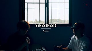 SYNESTHESIA  Dave Carlos amp Fern Cover [upl. by Garret882]