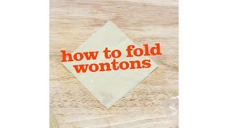 How to fold wontons 4 simple techniques [upl. by Illyes]