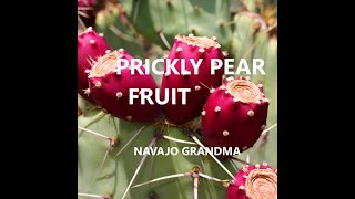 Navajo Grandma Prickly Pear Fruit quotHosh Niteelíquot [upl. by Teplitz628]