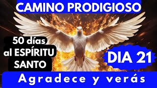 Día 21🔥CAMINO PRODIGIOSO 50 DÍAS AL ESPÍRITU SANTO es momento de DAR GRACIAS SALMO138🔥❤️ [upl. by Ayekim]