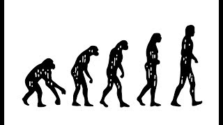 What is Darwin’s Theory of Evolution [upl. by Rollin918]