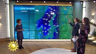 Väderprognos Glöm inte halsduken  Nyhetsmorgon TV4 [upl. by Crisey265]