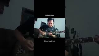 Cardinal Black  Tell Me How It Feels chrisbuck prs prsguitars cubebaby guitarsolo [upl. by Eardnoed]