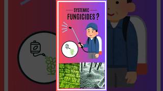 Systemic Fungicide [upl. by Rovaert]