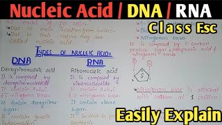 Nucleic Acid Composition  DNA  RNA  Class 11 amp 12 Biology [upl. by Tnelc]