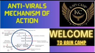 Mechanisms of Action of Antiviral Drugs Across Different Stages of Viral Infection [upl. by Tawsha]