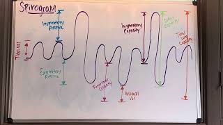 Understanding the Spirogram [upl. by Karrah309]