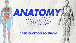 Anatomy viva card question solutionExplanatory figureBoard2 [upl. by Doralyn]