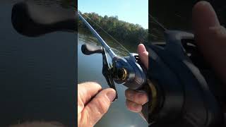 Potomac River Giant Bass bassfishing topwater potomacriver buzzbait giantbass largemouth [upl. by Sardella]