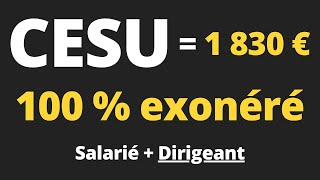 Comment mettre en place le CESU  Obligations et avantages fiscaux [upl. by Elletsirhc]