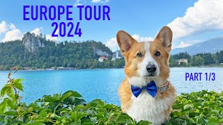 TRAVELING THE WORLD  Topi the Corgi [upl. by Tenay]