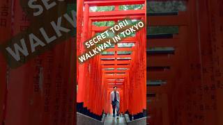 secret torii spot in center of tokyo asakasa travel vlogs shrine japan monkey torii [upl. by Ylil]