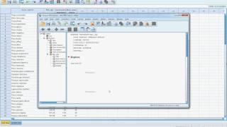 Test of normality and data transformation in SPSS [upl. by Eyla]