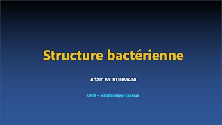 Microbio  Structure bactérienne [upl. by Ayam]