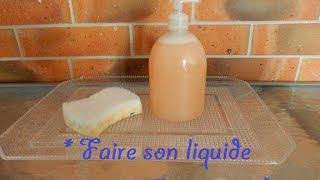 Faire son liquide vaisselle maison [upl. by Xanthe453]