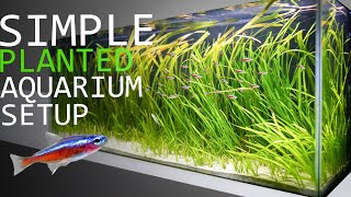 How to Setup a 55 Gallon Planted Aquarium 6 Month Update [upl. by Barta76]