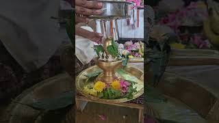 Rudrabhishekam [upl. by Vassar]